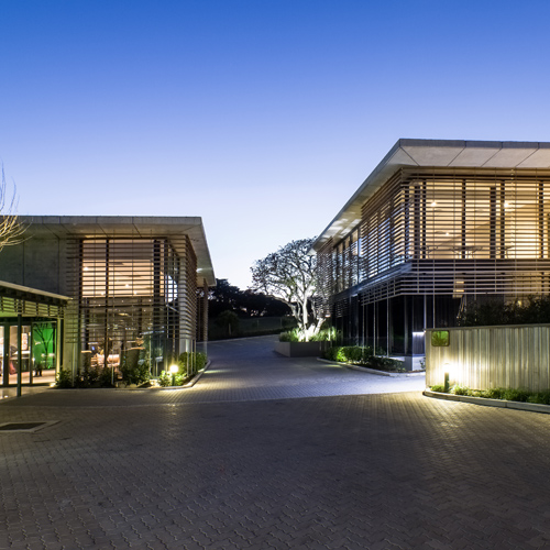 Looking out Highlander as Smart Object-1 as Smart Object-1